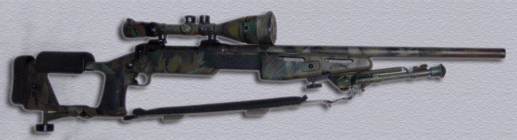 Savage308 Custom